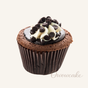 Chocolate Chip Fudge Cupcake