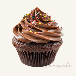 Chocolate Sprinkle Delight Cupcake