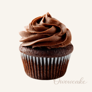 Classic Chocolate Fudge Cupcake