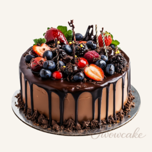 Homemade Chocolate Berry Drip Cake