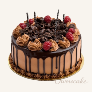 Homemade Chocolate Raspberry Drip Cake